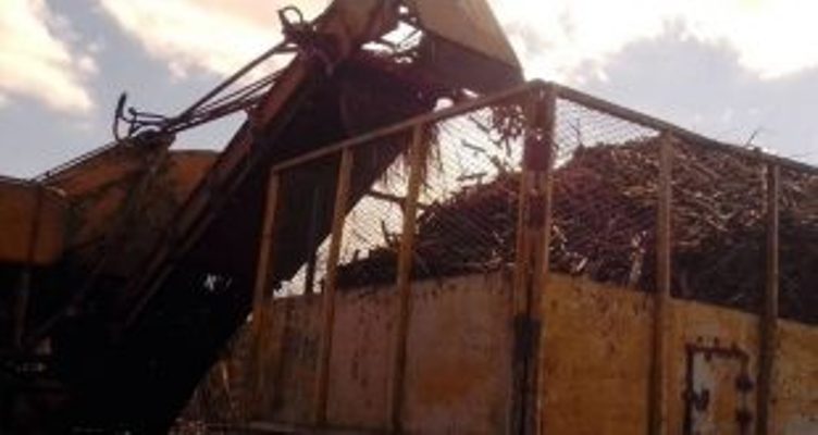 Sancti Spíritus sugarcane growers ready for the current harvest