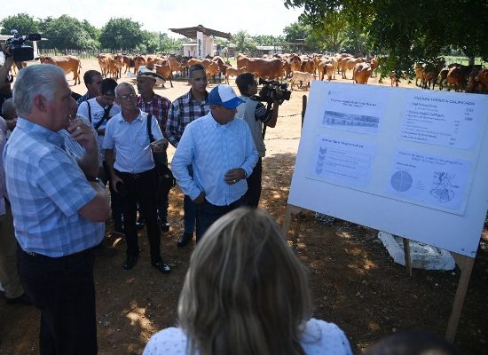 Avanzar desde la innovación y con resistencia creativa fue la exhortación constante de Díaz-Canel en sus visitas a Sancti Spíritus. Foto: Alien Fernández.