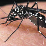 Refuerzan vigilancia epidemiológica ante incidencia del dengue en Sancti Spíritus