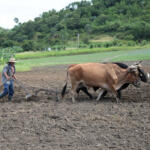 El movido invierno de los agricultores