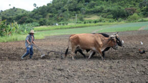 El movido invierno de los agricultores