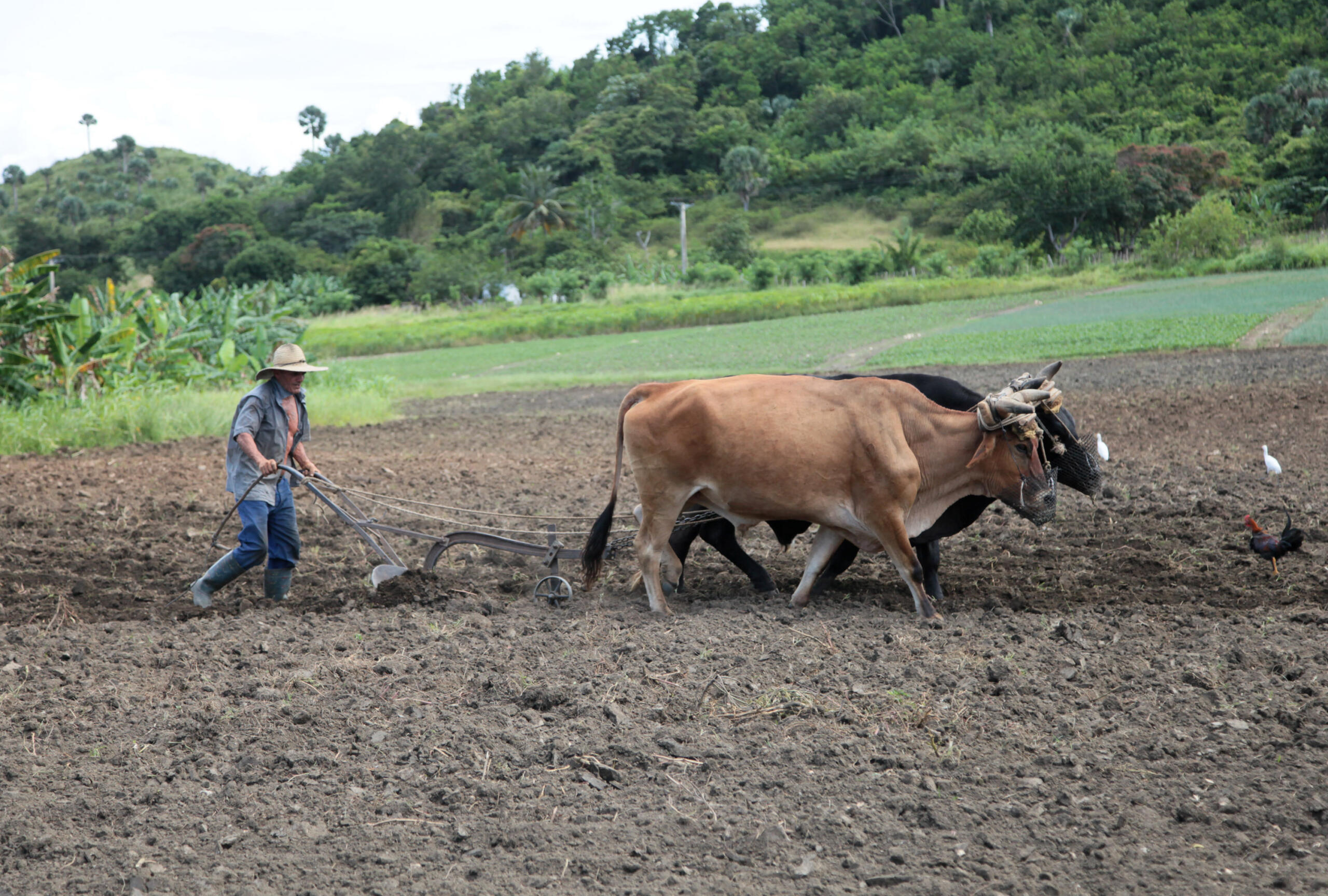 El movido invierno de los agricultores