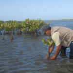 Refugio de Vida Silvestre Tunas de Zaza, donde conservación significa vida