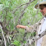 Interesante orquideario cerca del mar en el Parque Nacional Caguanes