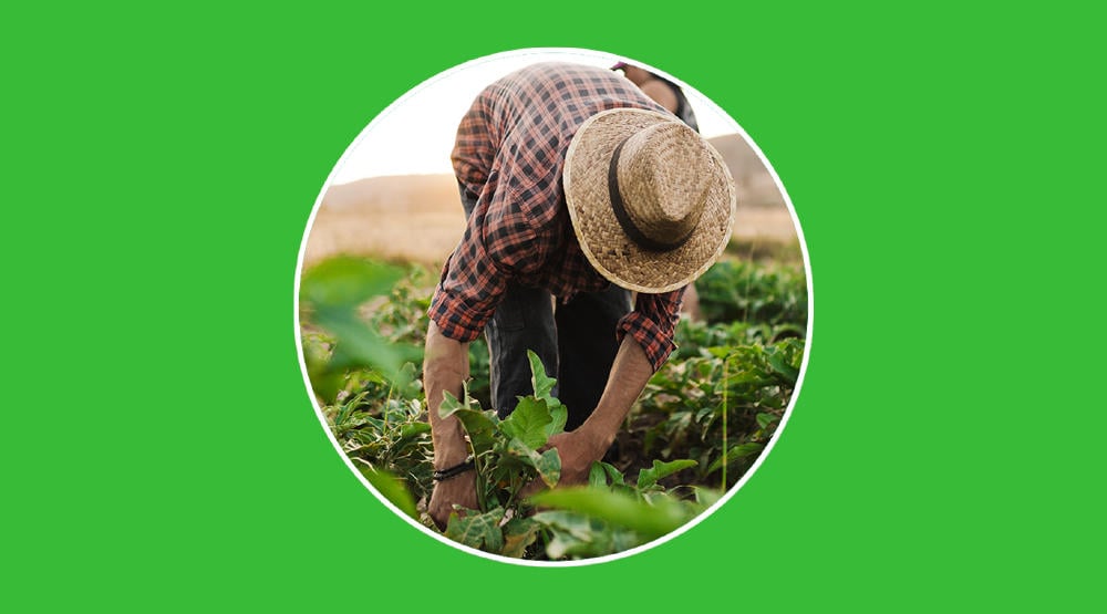 Finca taguasquense «Don Carlos», escenario de ciencia y técnica en funciones productivas