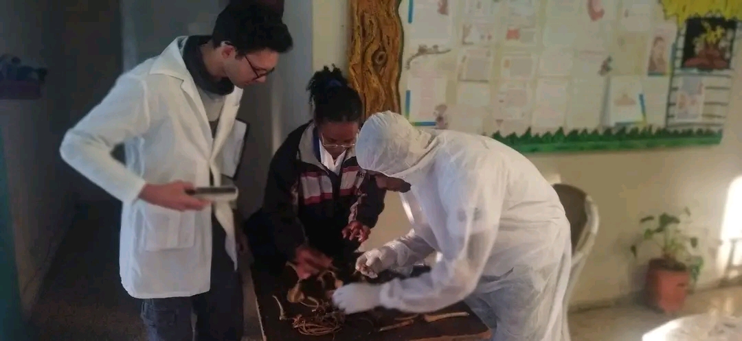 Restos óseos encontrados en refugio de Olivos II no son humanos