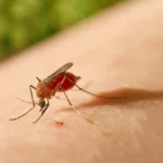 Área de salud de Cabaiguán se declara en transmisión