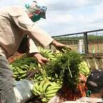 Abogan en Cabaiguán por mayor control sobre destino de producciones agrícolas