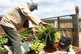 Abogan en Cabaiguán por mayor control sobre destino de producciones agrícolas