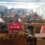 Despalillo de Tuinucú reinicia labores luego de reparación capital