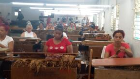 Despalillo de Tuinucú reinicia labores luego de reparación capital
