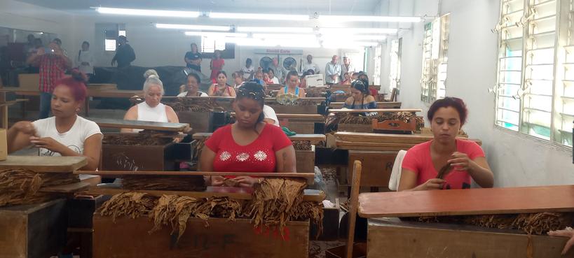 Despalillo de Tuinucú reinicia labores luego de reparación capital