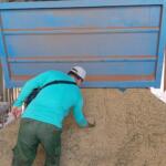 UEB Tamarindo registra elevada incidencia en actual campaña arrocera