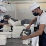 Productos Lácteos Mérida logra condición de colectivo vanguardia nacional