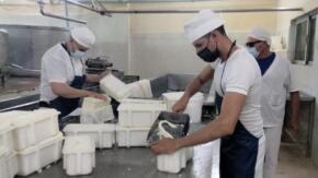 Productos Lácteos Mérida logra condición de colectivo vanguardia nacional