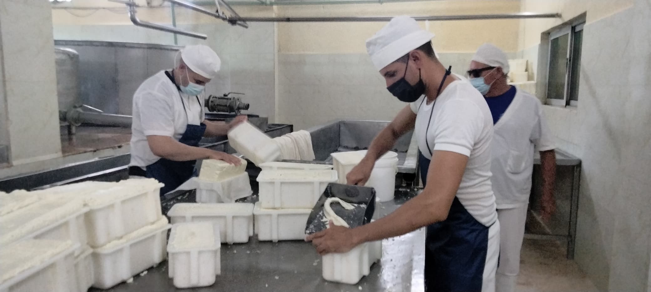 Productos Lácteos Mérida logra condición de colectivo vanguardia nacional