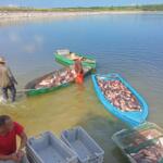 Empresa Pesquera espirituana garantiza producciones para el curso escolar