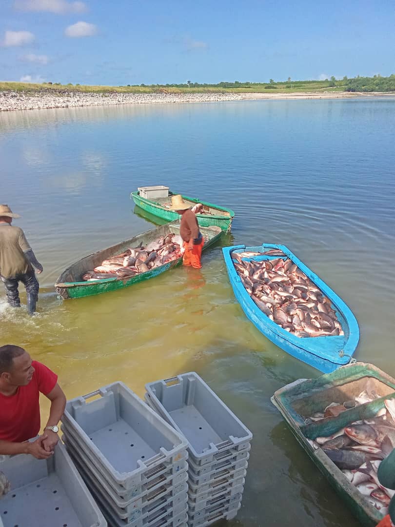 Empresa Pesquera espirituana garantiza producciones para el curso escolar