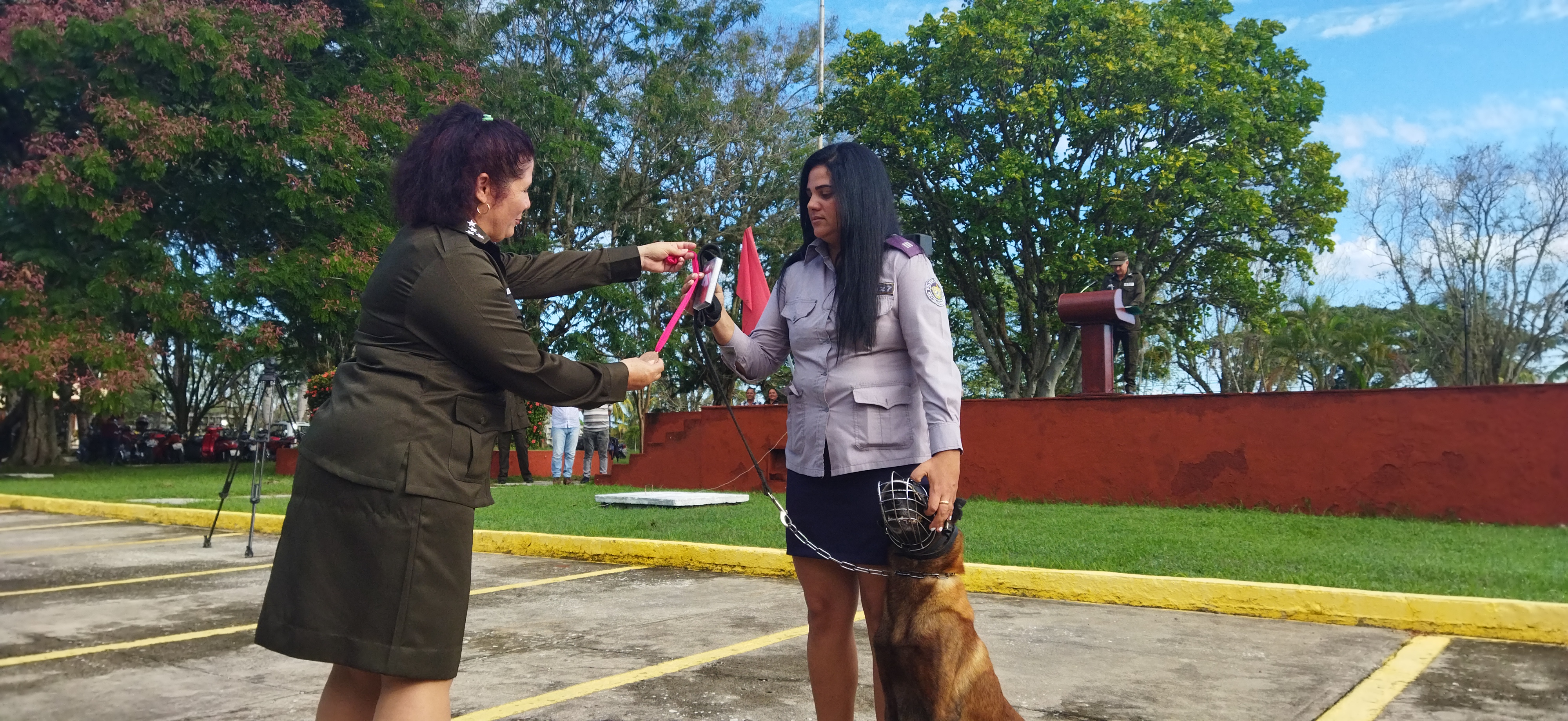 Yoandry Rodríguez : Vivo enamorado de la finca