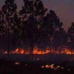 Detrás de cada incendio hay una negligencia (+ Audio)