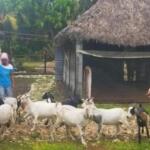 Mujer rural centra debate de federadas en Yaguajay