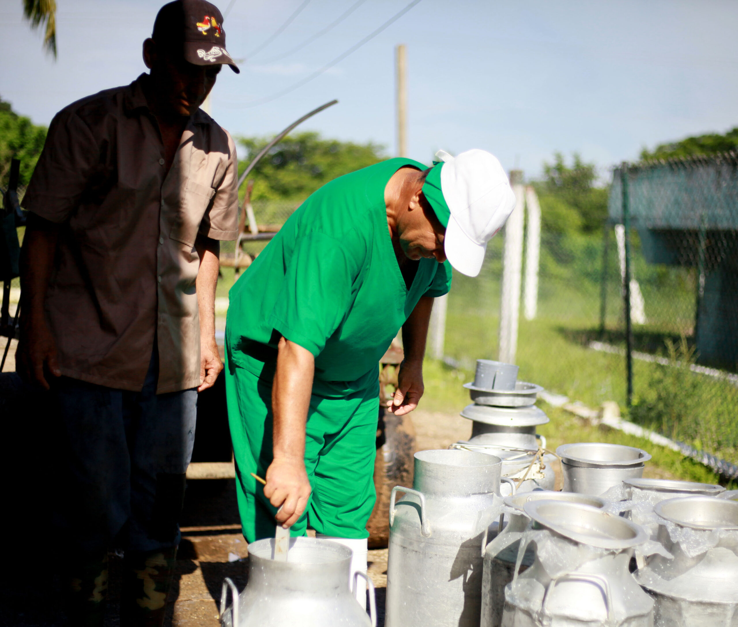 Precisa agricultura de Taguasco fortalecer su sistema productivo