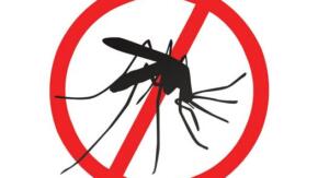 Poetas en guardia: improvisación contra el mosquito