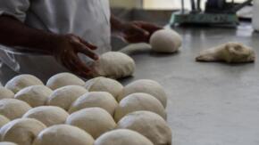 Afectada producción de pan por falta de materia prima
