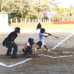 Dividen honores Gallitos y Pilongos en gran final de las Pequeñas Ligas de Béisbol