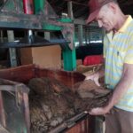 La excelencia del Despalillo de La Rana