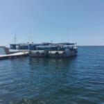 Activan medidas de protección en Pescasilda