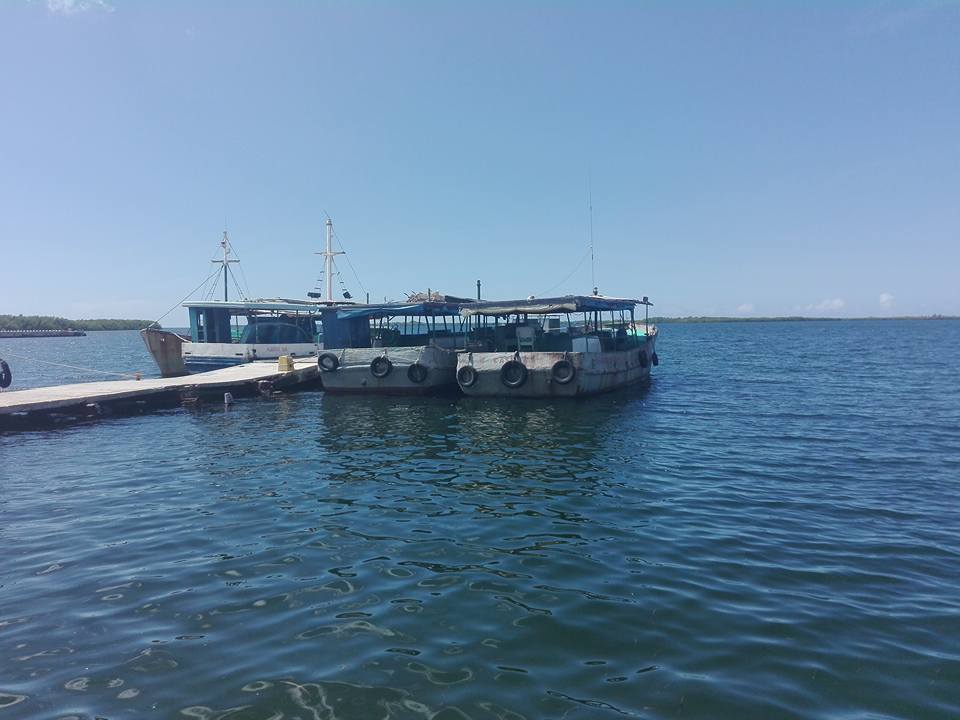 Activan medidas de protección en Pescasilda