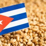 Un barco con 25.000 toneladas de trigo llega a Cuba desde Rusia