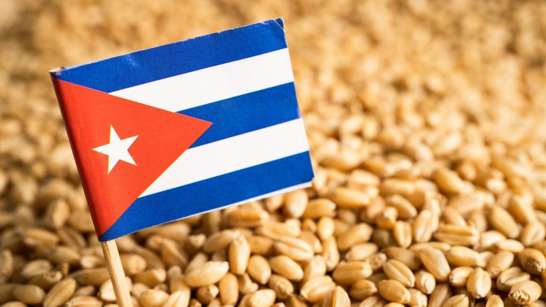 Un barco con 25.000 toneladas de trigo llega a Cuba desde Rusia