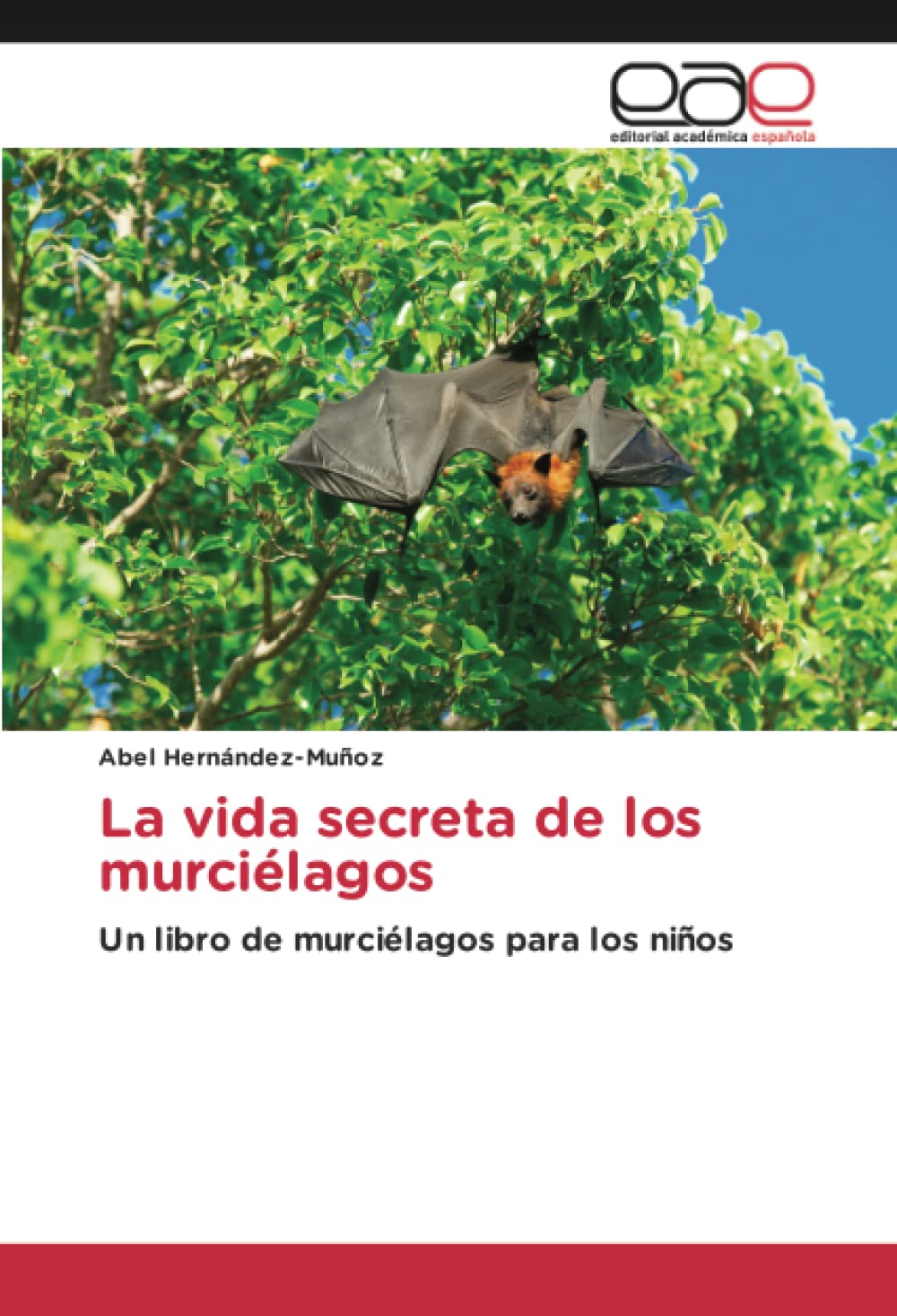 Libro de espirituano Abel Hernández es reconocido por lecturas de Google