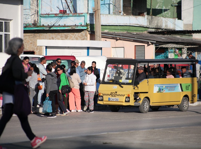 La sinfonía silenciosa de las guagüitas amarillas