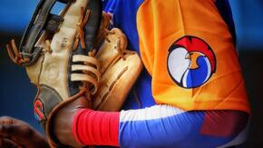 Análisis por zonas y grupos de la 65 Serie Nacional de Béisbol