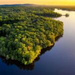 Amazonia: El corazón verde del planeta