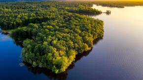 Amazonia: El corazón verde del planeta