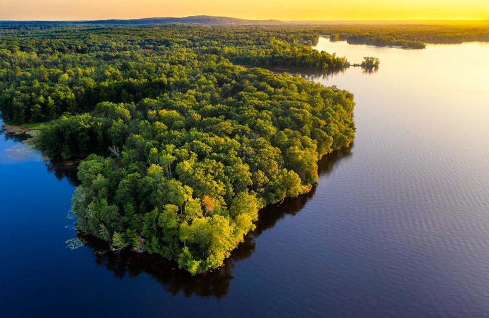 Amazonia: El corazón verde del planeta
