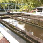 ¿Cómo se enfrentan en Sancti Spíritus los problemas de la calidad del agua?