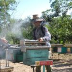 Apicultores espirituanos buscan endulzar el fin de año