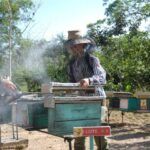 Ciencia y cooperación internacional apoyan programa de reforestación melífera en Sancti Spíritus