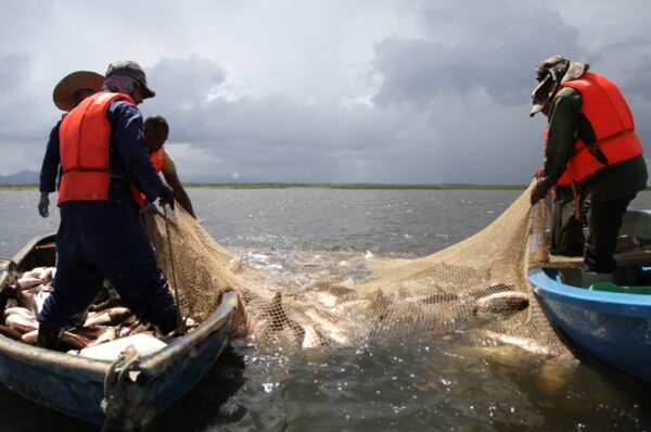 Los pescadores espirituanos cumplieron ya su compromiso del año y siguen pescando. Foto: Oscar Alfonso Sosa.