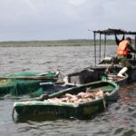 Pescadores espirituanos despiden el 2024 con saldos favorables