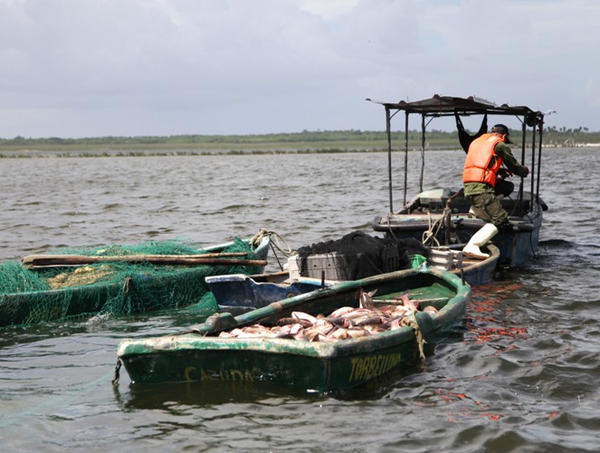 Pescadores espirituanos despiden el 2024 con saldos favorables