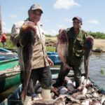 Noticia pescada