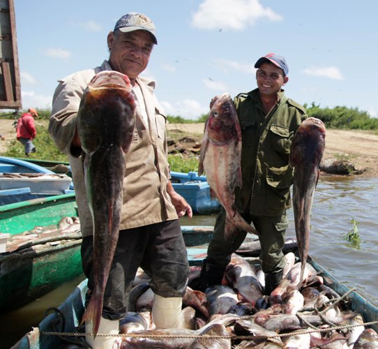 Noticia pescada