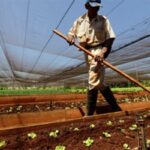 ¿Qué se propone  Sancti Spíritus en el terreno económico en el 2025?