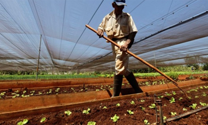 ¿Qué se propone  Sancti Spíritus en el terreno económico en el 2025?
